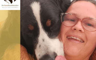 Op zoek naar een hond? Adopt, don’t shop